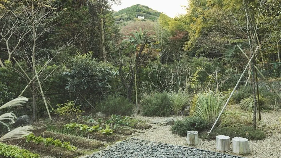 SOKI ATAMI