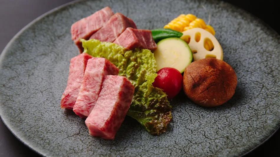 Suisui Garden Ryokan (Registered Tangible Cultural Property Inn / Art Hotel Kokura)