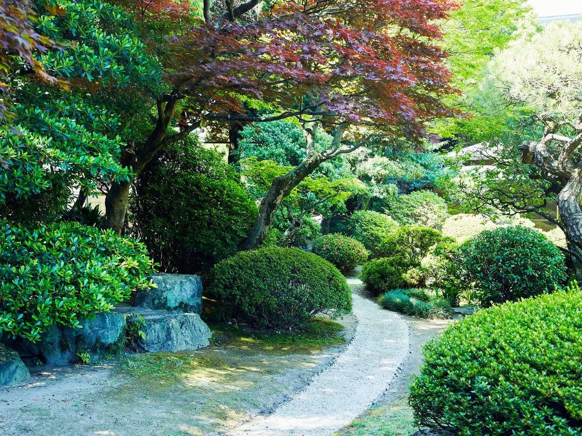 百年庭園の宿　翠水（登録有形文化財の宿／アートホテル小倉内）