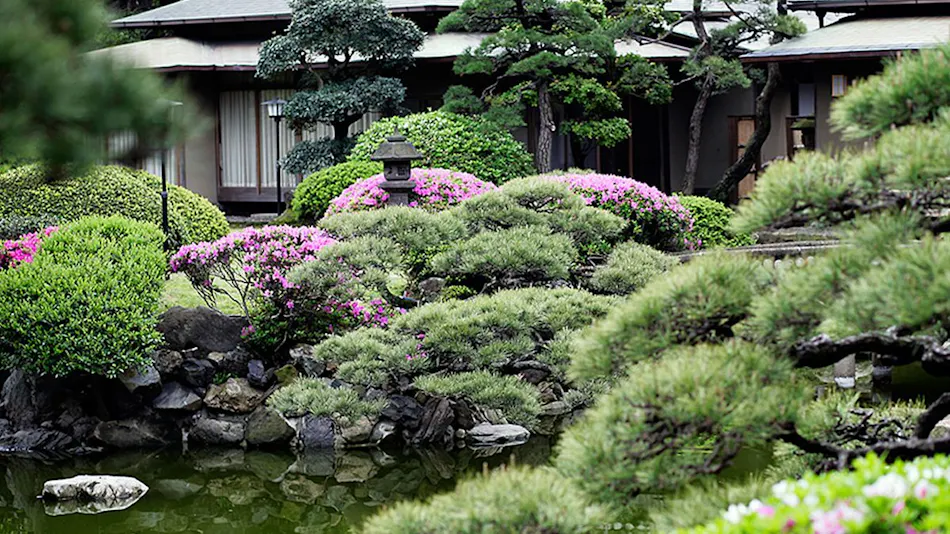 Suisui Garden Ryokan (Registered Tangible Cultural Property Inn / Art Hotel Kokura)