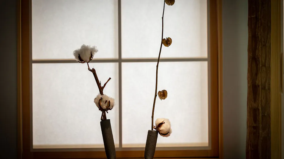 Naoshima Ryokan Roka