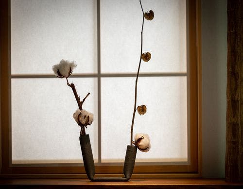 アートに出会う宿