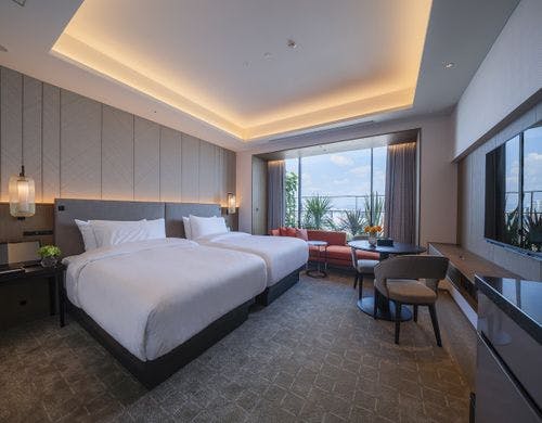 デラックスツインシティビュー