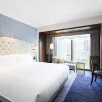 【디럭스 킹 / 31제곱미터】