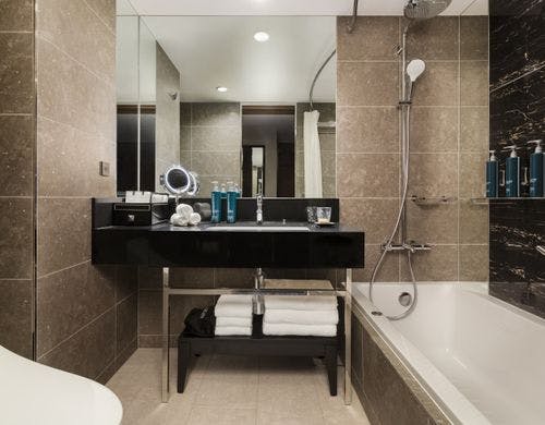 【デラックスツイン / 31平米】