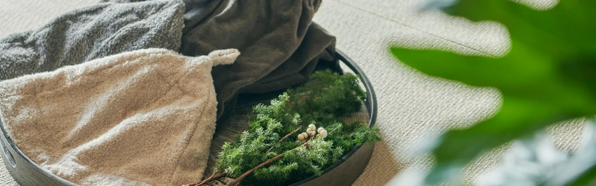 ふふ 軽井沢 -陽光の風-