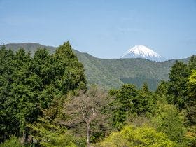 仙石原古今 2枚目