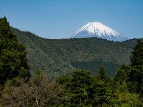 仙石原古今 3枚目