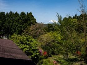 仙石原古今