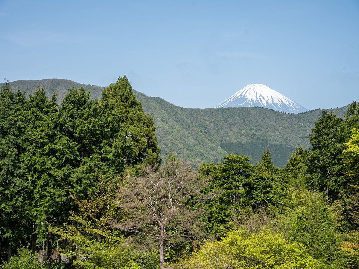 仙石原古今