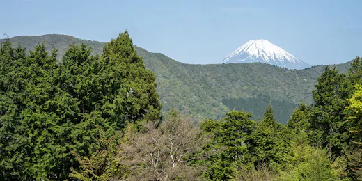仙石原古今