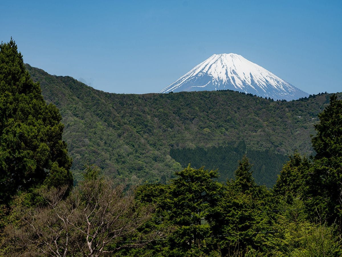箱根×富士山を望む宿 高級旅館 - 一休.com