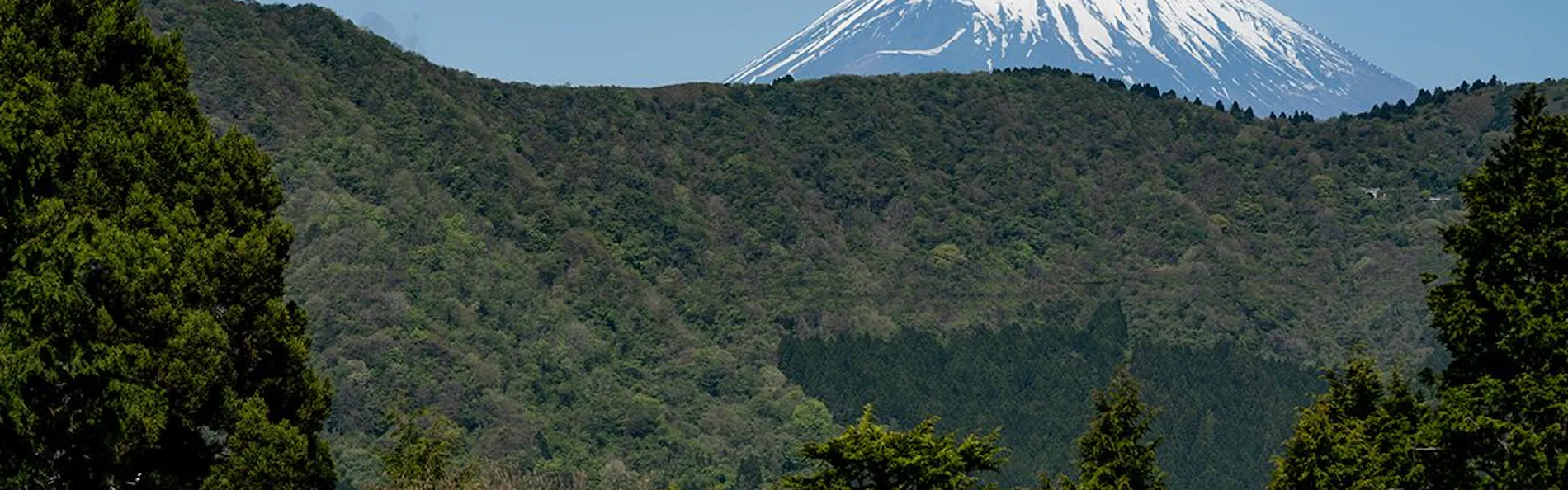 仙石原古今