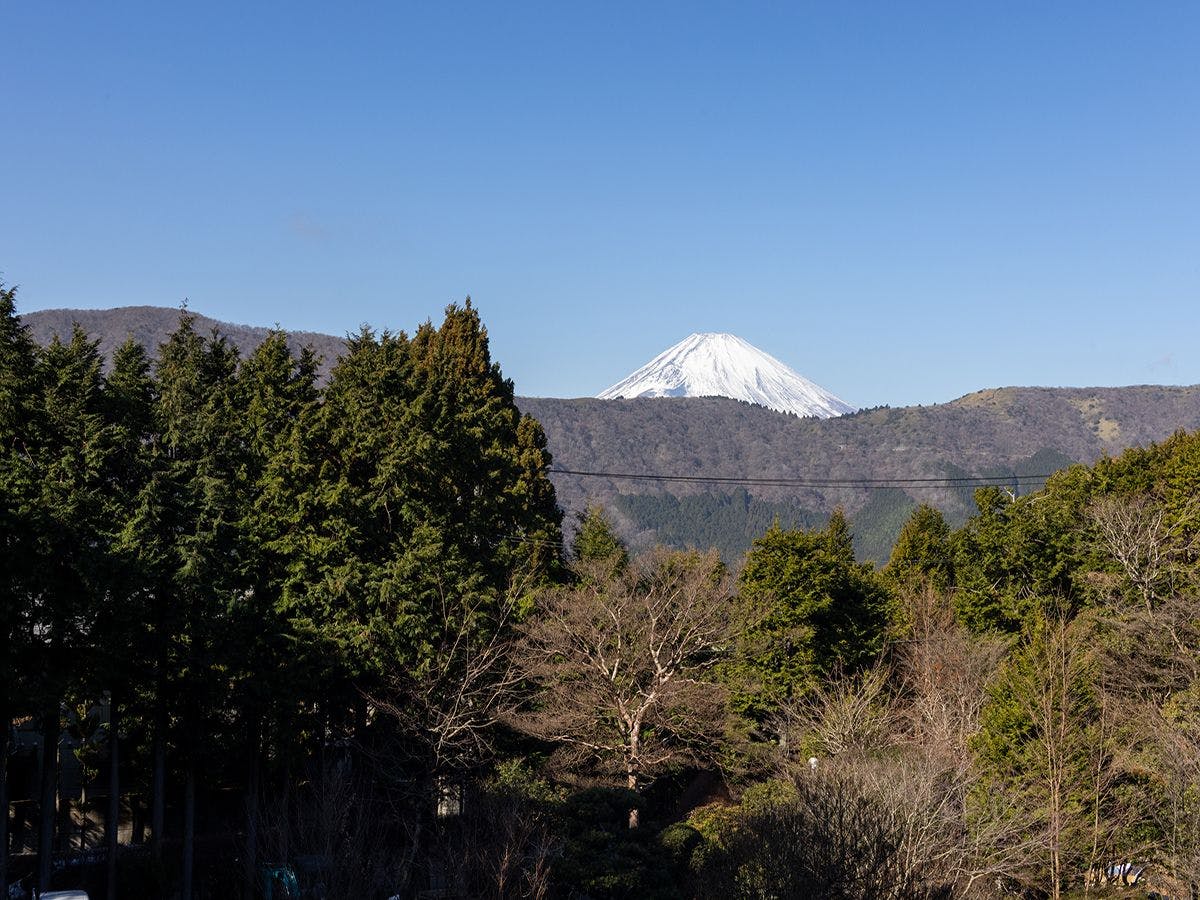仙石原古今