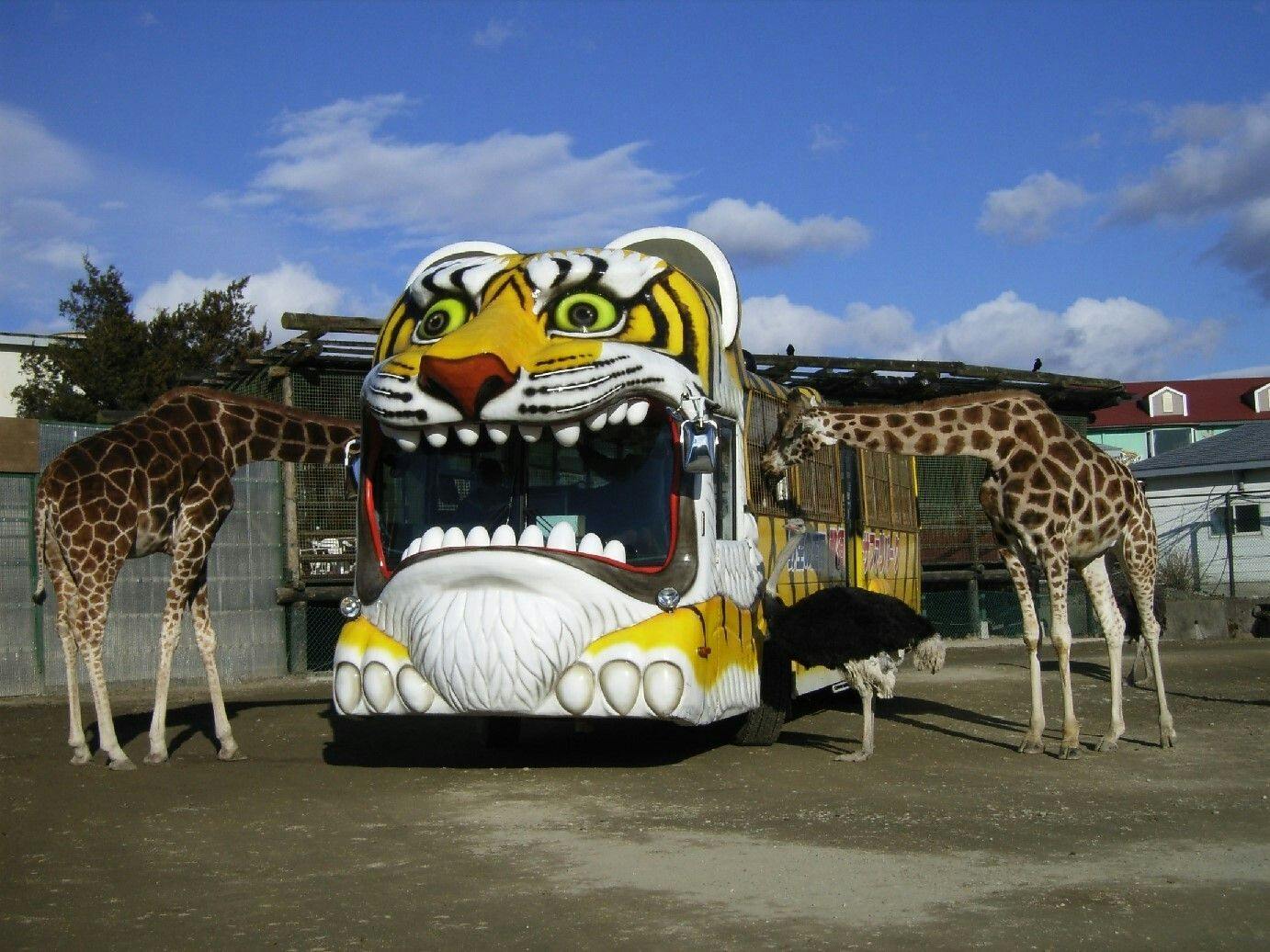 【Nasu Safari Park】