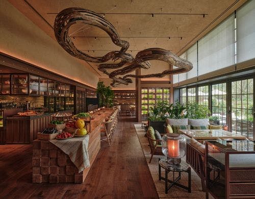 オーガニック・イノベーティブ P72