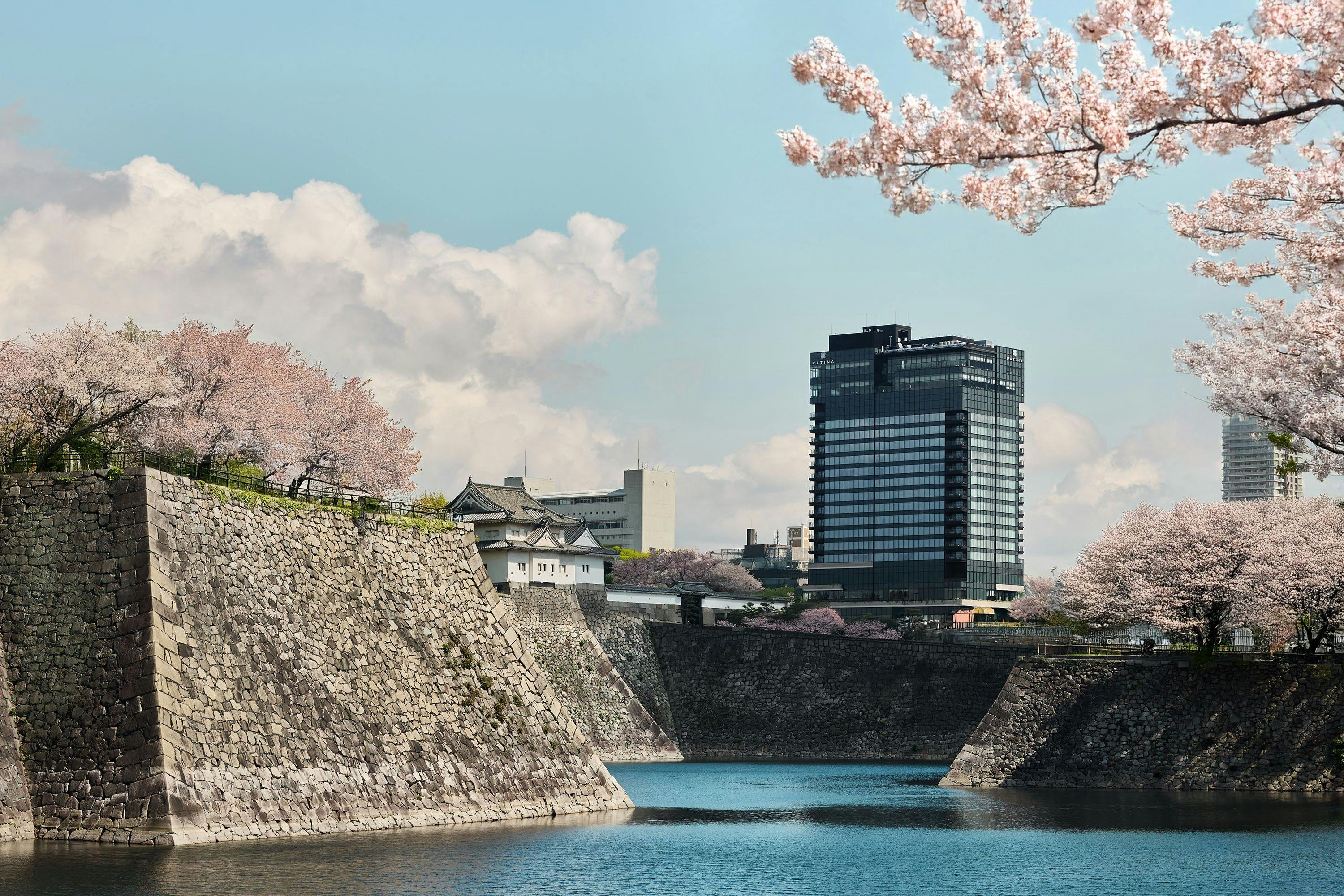 ปาติน่า โอซาก้า ที่ตั้งตระหง่านเคียงข้างดอกซากุระ