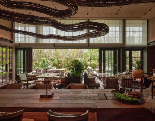 オーガニック イノベーティブ P72