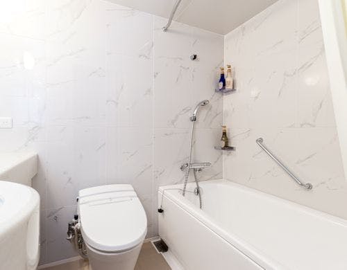 フォレストスーペリアルーム バスルーム