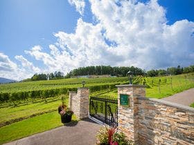 写真：NIKI Hills Winery