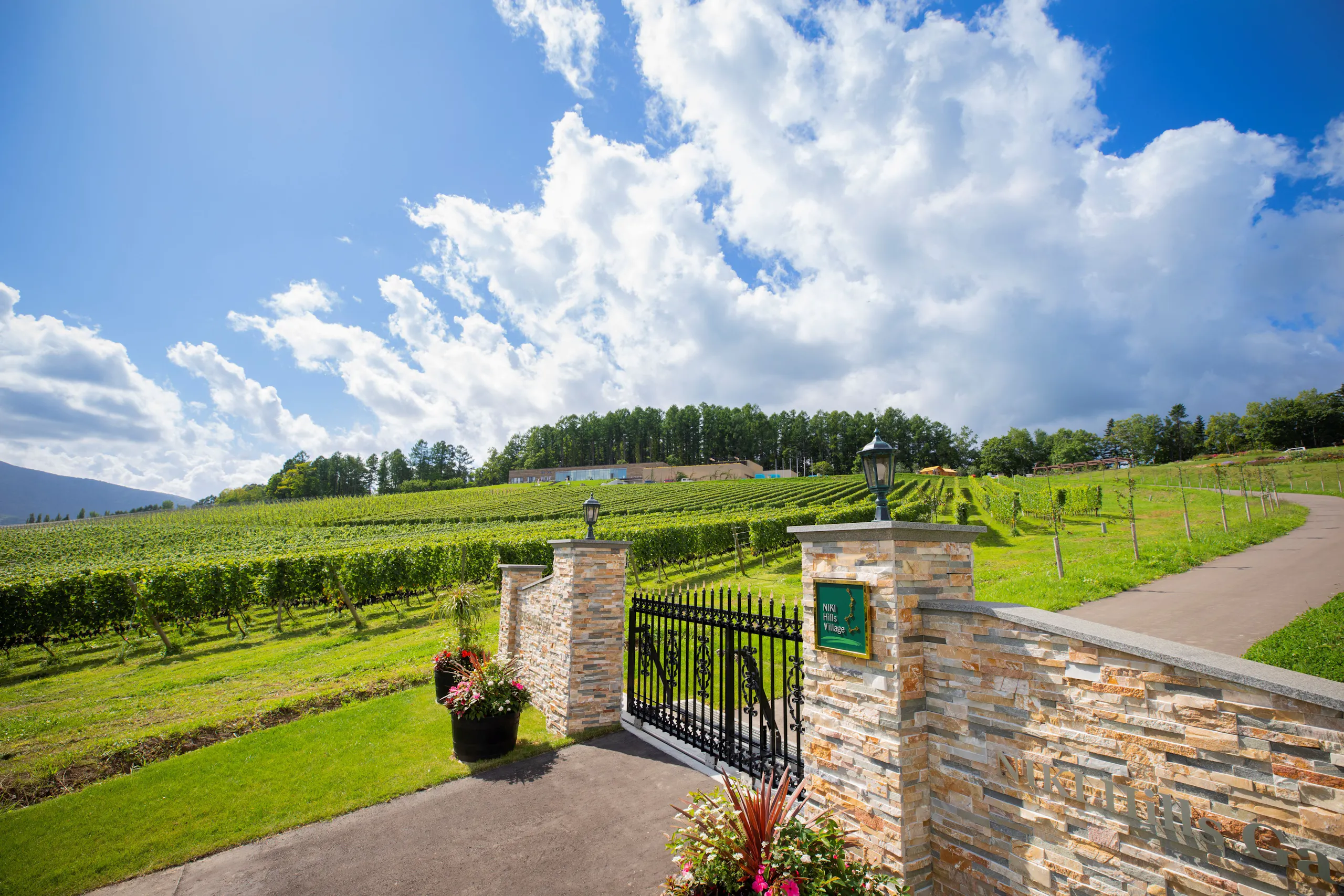NIKI Hills Wineryの広大なブドウ畑と余市湾を望む宿泊棟