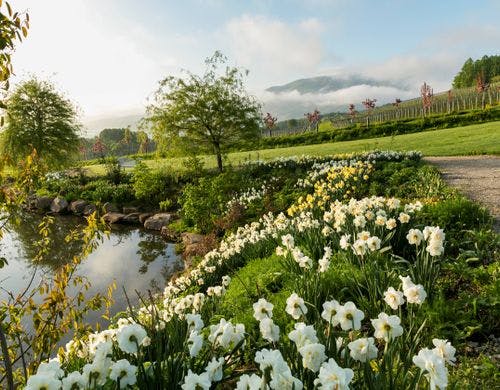 NIKI Hills GARDEN（春）