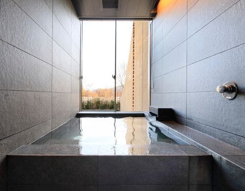 ラグジュアリー A type