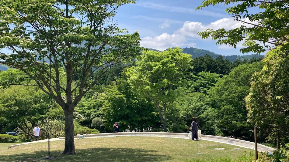 RETONA HAKONE