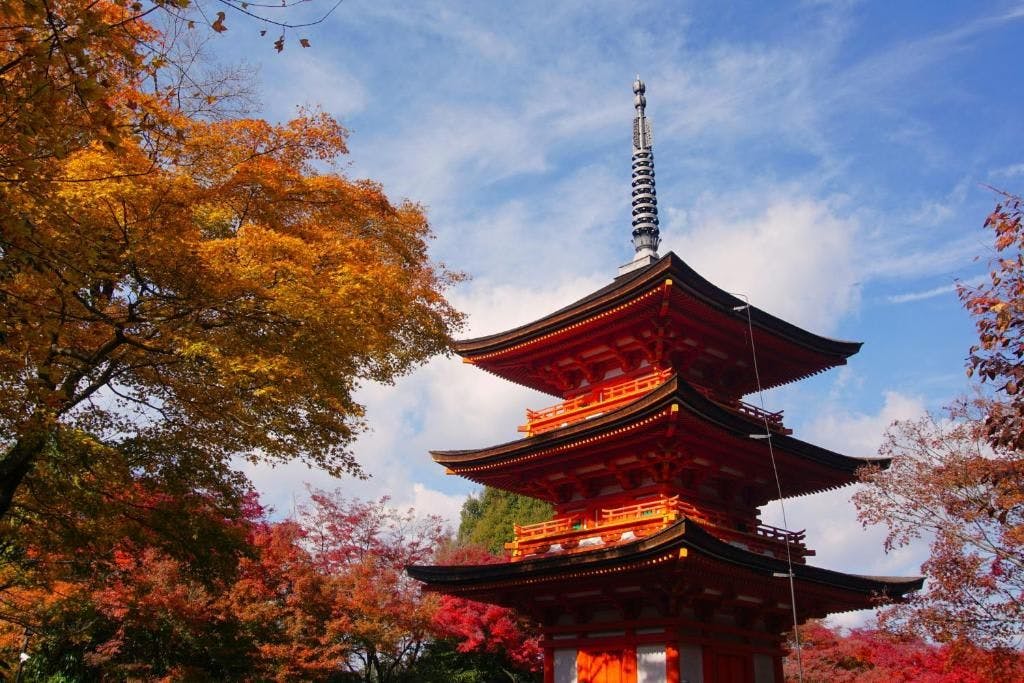 京都 红叶