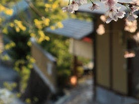 弓ヶ浜温泉 くつろぎの御宿 花さと