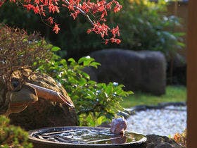 くつろぎの御宿　花さと