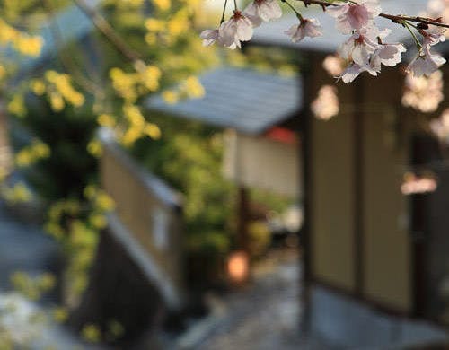 弓ヶ浜温泉 くつろぎの御宿 花さと