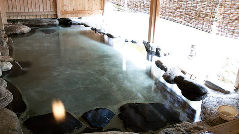 Gensen Kakenagashi Hot Spring Theme Park Ryudo