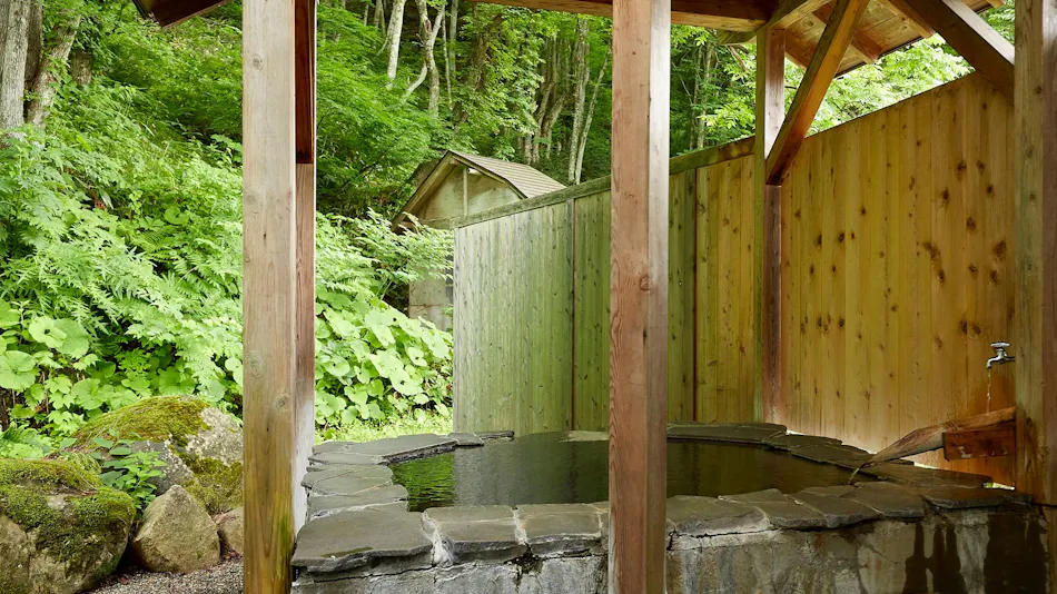 Gensen Kakenagashi Hot Spring Theme Park Ryudo