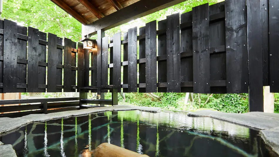 Gensen Kakenagashi Hot Spring Theme Park Ryudo