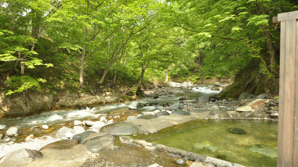 Gensen Kakenagashi Hot Spring Theme Park Ryudo