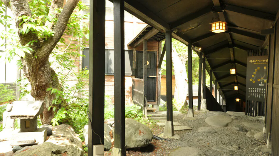 Gensen Kakenagashi Hot Spring Theme Park Ryudo