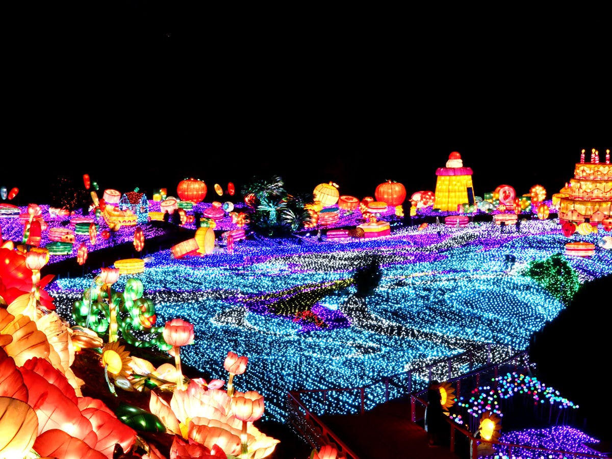 *グランイルミ　光の絨毯が一面に広がる