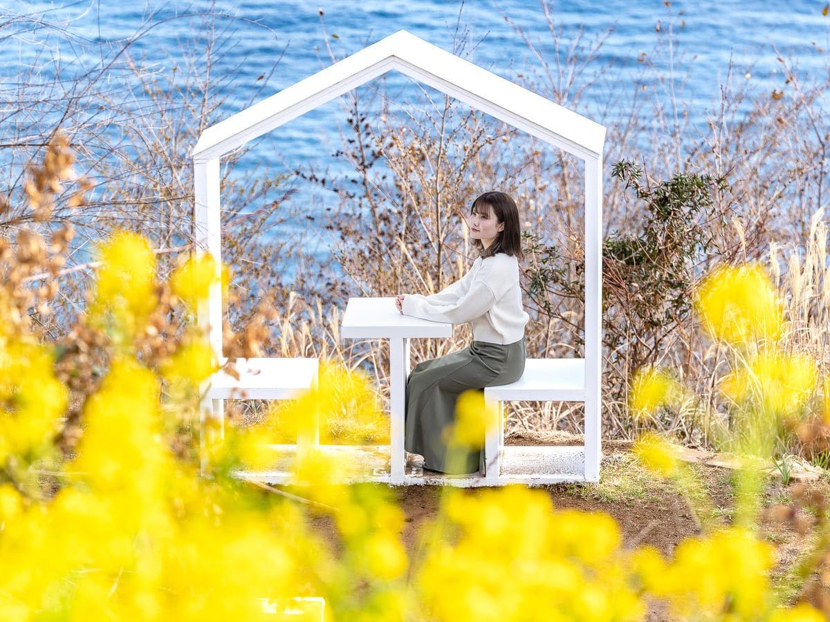 ACAO FOREST_框架小屋