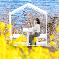 ACAO FOREST_框架小屋