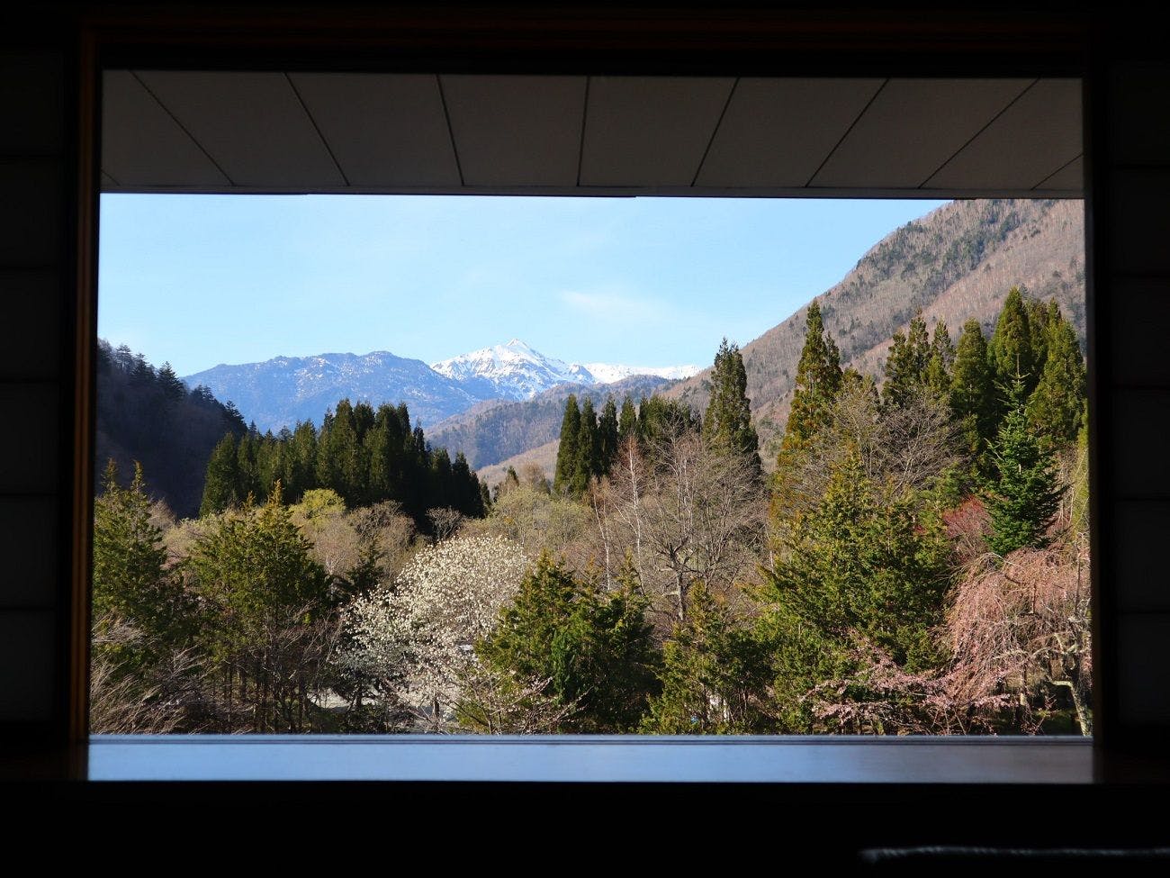 深山桜庵別館　湯めぐりの宿　平湯館（共立リゾート）