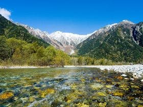 平湯温泉 奥飛騨温泉 深山桜庵別館 湯めぐりの宿 平湯館 の口コミ 詳細 お湯たび 平湯温泉 奥飛騨温泉 深山桜庵別館 湯めぐりの宿 平湯館 の口コミ 詳細 お湯たび