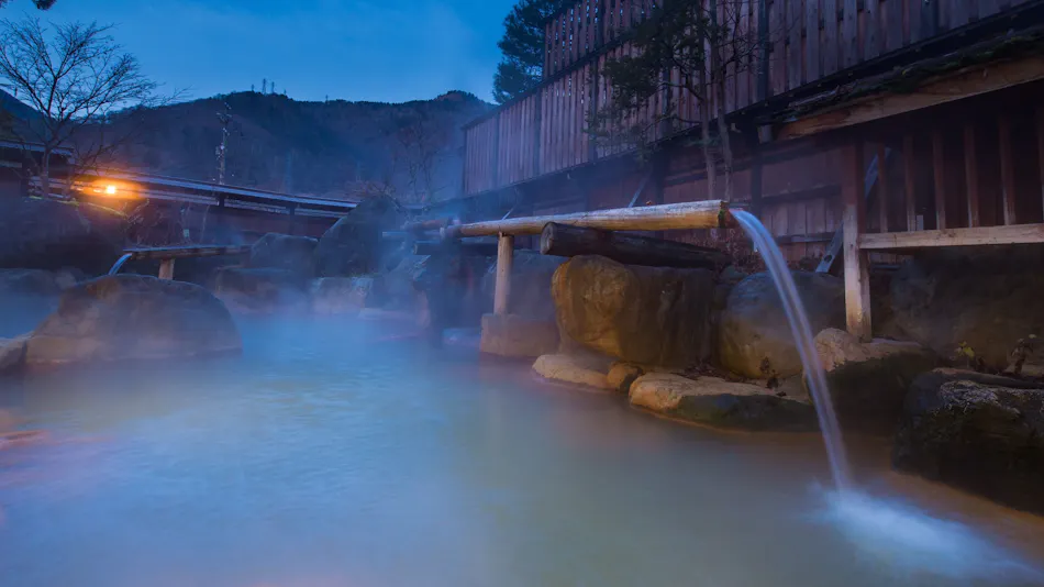 Miyama Sakura-an Annex, Yumeguri no Yado Hirayukan (Kyoritsu Resort)