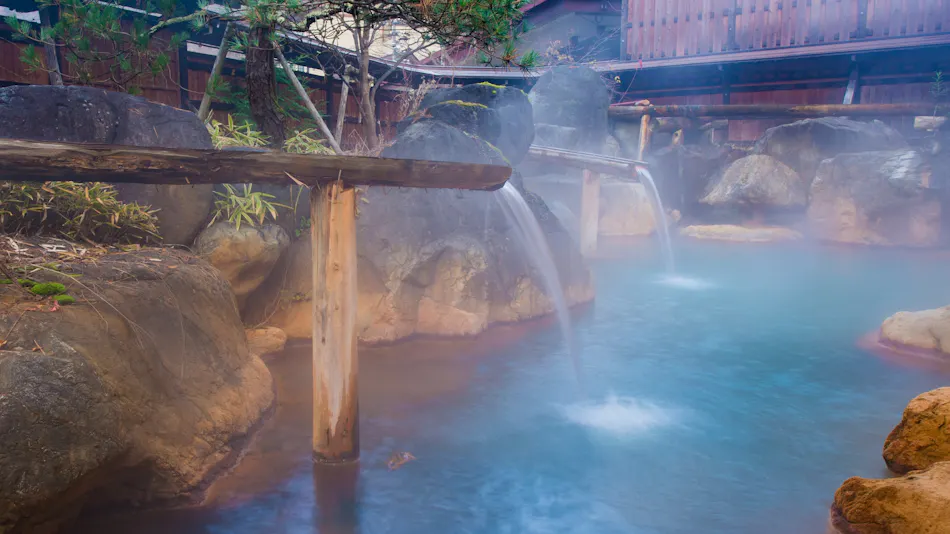 Miyama Sakura-an Annex, Yumeguri no Yado Hirayukan (Kyoritsu Resort)