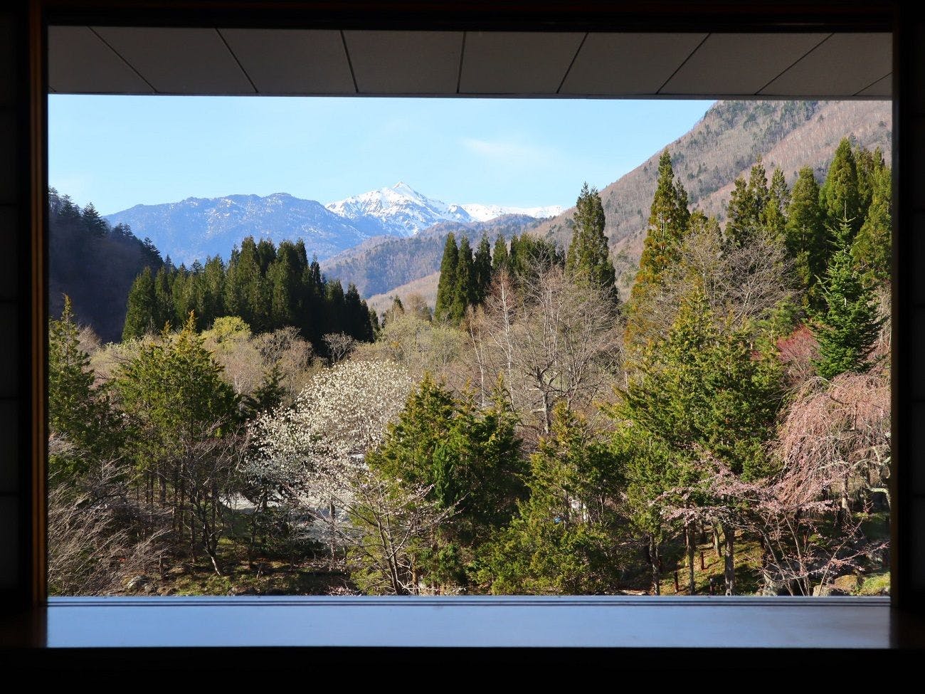 深山桜庵別館　湯めぐりの宿　平湯館（共立リゾート）