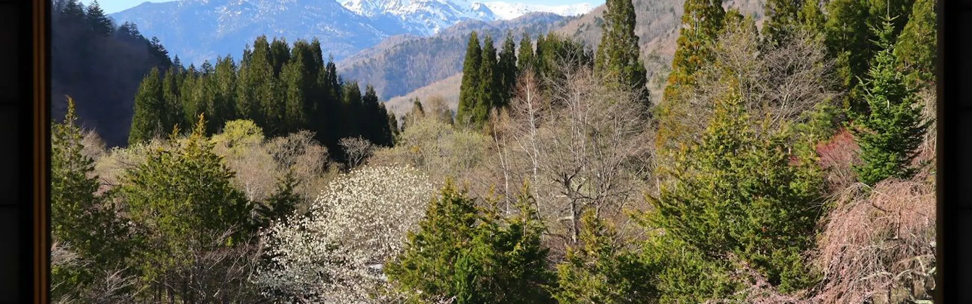 深山桜庵別館 湯めぐりの宿 平湯館(共立リゾート)