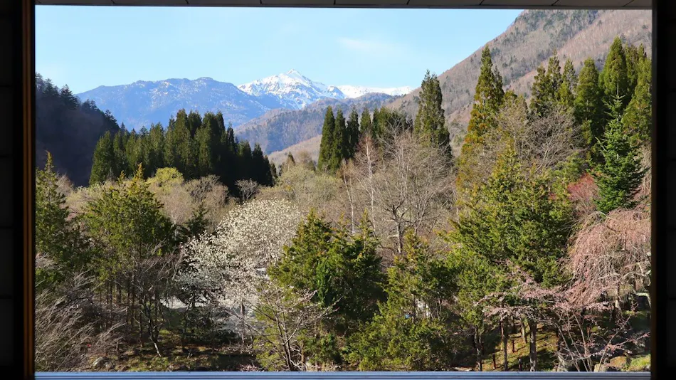 Miyama Sakura-an Annex, Yumeguri no Yado Hirayukan (Kyoritsu Resort)