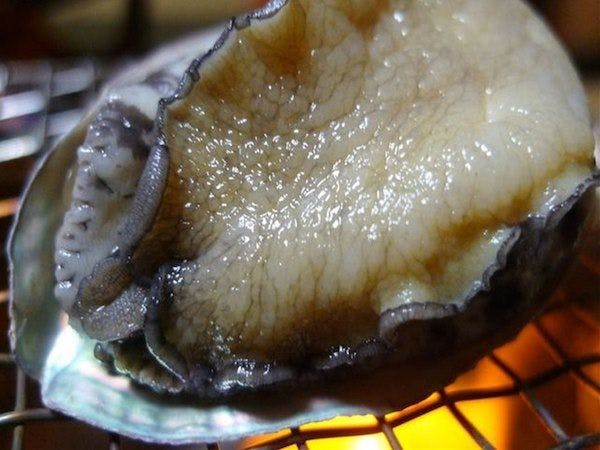 雨晴温泉　磯はなび