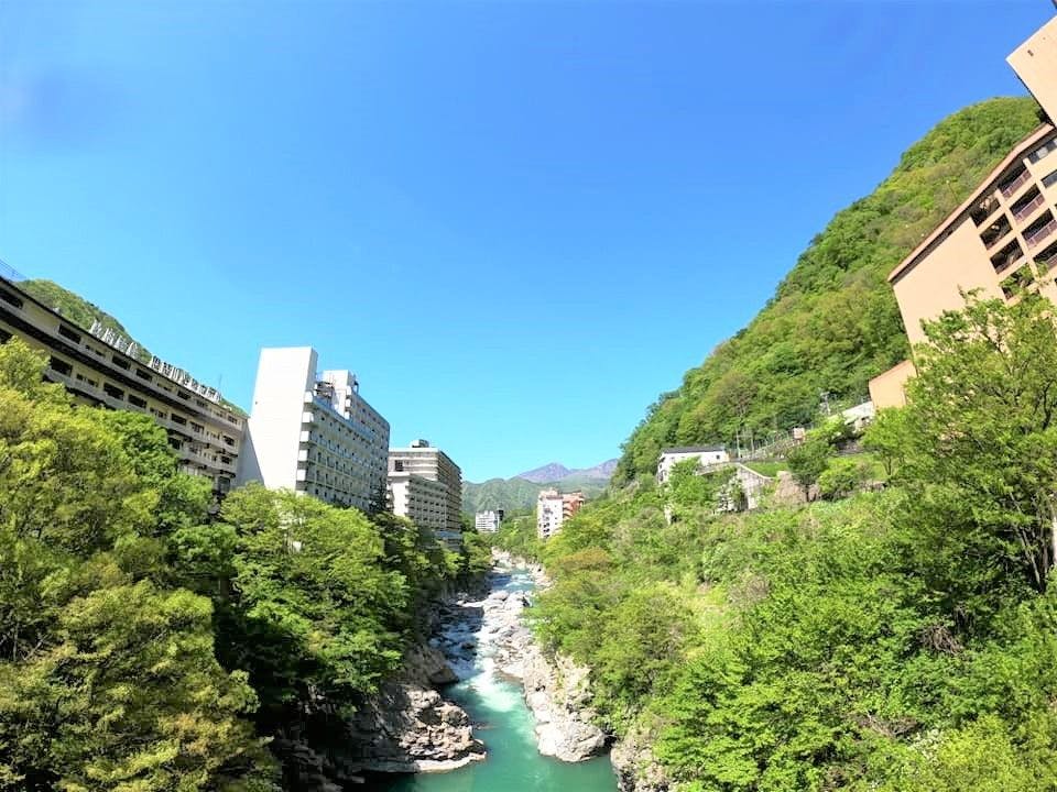 ペット同室宿泊パイオニアの宿　きぬ川国際ホテル
