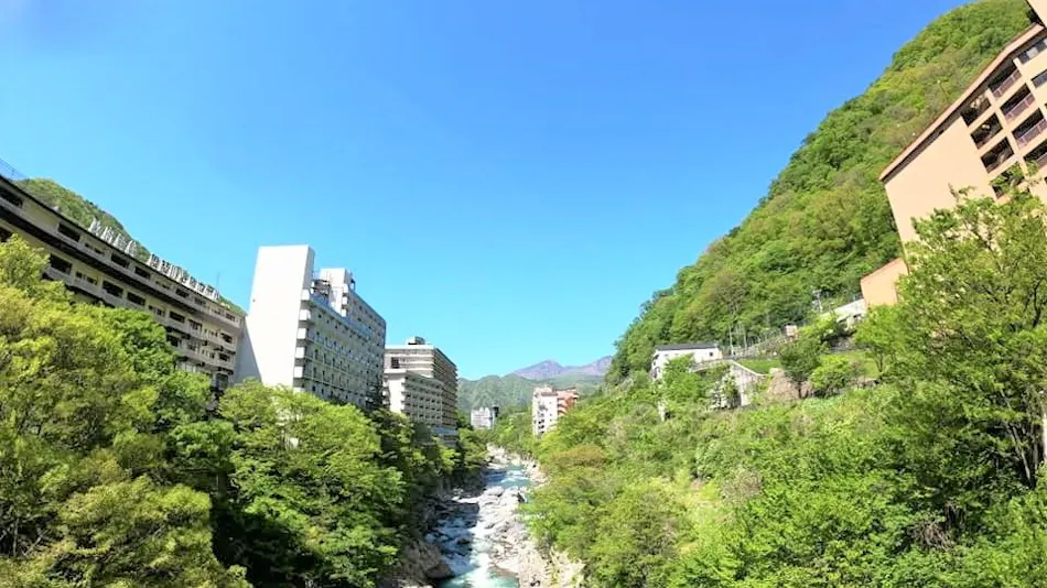 Kinugawa International Hotel: A Pet-Friendly Accommodation with Three Dog Runs
